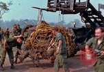 Immagine di Elephant trasferito in aereo Il Vietnam, 1968, secondo 4 filmato di repertorio 65675067651