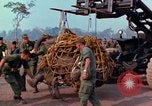 Immagine di Elephant trasferito in aereo Il Vietnam, 1968, secondo 5 filmato di repertorio 65675067651