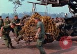Immagine di Elephant trasferito in aereo Il Vietnam, 1968, secondo 6 filmato di repertorio 65675067651