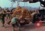 Immagine di Elephant trasferito in aereo Il Vietnam, 1968, secondo 8 filmato di repertorio 65675067651