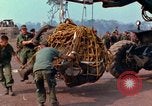Immagine di Elephant trasferito in aereo Il Vietnam, 1968, secondo 9 filmato di repertorio 65675067651