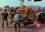 Immagine di Elephant trasferito in aereo Il Vietnam, 1968, secondo 10 filmato di repertorio 65675067651