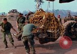 Immagine di Elephant trasferito in aereo Il Vietnam, 1968, secondo 11 filmato di repertorio 65675067651