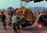 Immagine di Elephant trasferito in aereo Il Vietnam, 1968, secondo 13 filmato di repertorio 65675067651