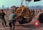Immagine di Elephant trasferito in aereo Il Vietnam, 1968, secondo 14 filmato di repertorio 65675067651