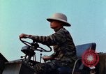 Immagine di Elephant trasferito in aereo Il Vietnam, 1968, secondo 19 filmato di repertorio 65675067651