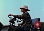 Immagine di Elephant trasferito in aereo Il Vietnam, 1968, secondo 20 filmato di repertorio 65675067651
