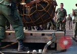 Immagine di Elephant trasferito in aereo Il Vietnam, 1968, secondo 22 filmato di repertorio 65675067651