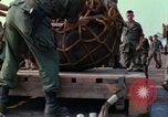 Immagine di Elephant trasferito in aereo Il Vietnam, 1968, secondo 24 filmato di repertorio 65675067651