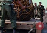 Immagine di Elephant trasferito in aereo Il Vietnam, 1968, secondo 26 filmato di repertorio 65675067651