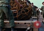 Immagine di Elephant trasferito in aereo Il Vietnam, 1968, secondo 30 filmato di repertorio 65675067651