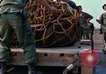 Immagine di Elephant trasferito in aereo Il Vietnam, 1968, secondo 31 filmato di repertorio 65675067651