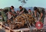 Immagine di Elephant trasferito in aereo Il Vietnam, 1968, secondo 33 filmato di repertorio 65675067651
