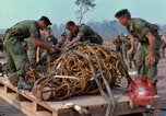 Immagine di Elephant trasferito in aereo Il Vietnam, 1968, secondo 34 filmato di repertorio 65675067651