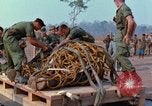 Immagine di Elephant trasferito in aereo Il Vietnam, 1968, secondo 35 filmato di repertorio 65675067651