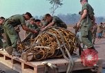 Immagine di Elephant trasferito in aereo Il Vietnam, 1968, secondo 36 filmato di repertorio 65675067651