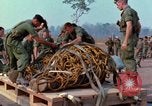 Immagine di Elephant trasferito in aereo Il Vietnam, 1968, secondo 37 filmato di repertorio 65675067651