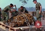Immagine di Elephant trasferito in aereo Il Vietnam, 1968, secondo 38 filmato di repertorio 65675067651
