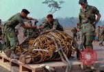 Immagine di Elephant trasferito in aereo Il Vietnam, 1968, secondo 39 filmato di repertorio 65675067651