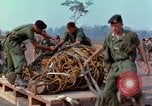 Immagine di Elephant trasferito in aereo Il Vietnam, 1968, secondo 40 filmato di repertorio 65675067651