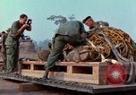 Immagine di Elephant trasferito in aereo Il Vietnam, 1968, secondo 47 filmato di repertorio 65675067651