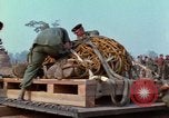 Immagine di Elephant trasferito in aereo Il Vietnam, 1968, secondo 50 filmato di repertorio 65675067651