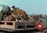 Immagine di Elephant trasferito in aereo Il Vietnam, 1968, secondo 51 filmato di repertorio 65675067651