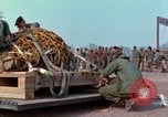 Immagine di Elephant trasferito in aereo Il Vietnam, 1968, secondo 53 filmato di repertorio 65675067651