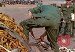 Immagine di Elephant trasferito in aereo Il Vietnam, 1968, secondo 60 filmato di repertorio 65675067651