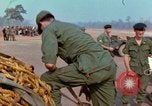 Immagine di Elephant trasferito in aereo Il Vietnam, 1968, secondo 62 filmato di repertorio 65675067651