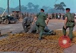 Immagine di Elephant trasferito in aereo Il Vietnam, 1968, secondo 60 filmato di repertorio 65675067652