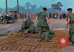 Immagine di Elephant trasferito in aereo Il Vietnam, 1968, secondo 61 filmato di repertorio 65675067652