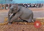 Image of elephant airlifted Vietnam, 1968, second 49 stock footage video 65675067653