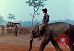 Image of Elephant airlifted Vietnam, 1968, second 11 stock footage video 65675067654