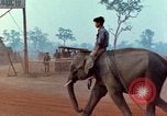 Image of Elephant airlifted Vietnam, 1968, second 12 stock footage video 65675067654