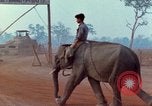 Image of Elephant airlifted Vietnam, 1968, second 13 stock footage video 65675067654