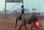 Image of Elephant airlifted Vietnam, 1968, second 14 stock footage video 65675067654