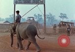 Image of Elephant airlifted Vietnam, 1968, second 16 stock footage video 65675067654