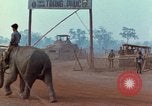 Image of Elephant airlifted Vietnam, 1968, second 17 stock footage video 65675067654