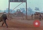 Image of Elephant airlifted Vietnam, 1968, second 18 stock footage video 65675067654