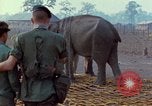 Image of Elephant airlifted Vietnam, 1968, second 22 stock footage video 65675067654