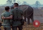 Image of Elephant airlifted Vietnam, 1968, second 23 stock footage video 65675067654