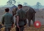 Image of Elephant airlifted Vietnam, 1968, second 24 stock footage video 65675067654