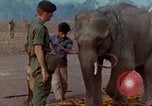 Image of Elephant airlifted Vietnam, 1968, second 30 stock footage video 65675067654