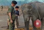 Image of Elephant airlifted Vietnam, 1968, second 33 stock footage video 65675067654