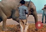 Image of Elephant airlifted Vietnam, 1968, second 44 stock footage video 65675067654