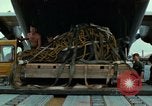 Image of Elephant airlifted Vietnam, 1968, second 36 stock footage video 65675067655