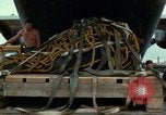 Image of Elephant airlifted Vietnam, 1968, second 38 stock footage video 65675067655