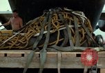 Image of Elephant airlifted Vietnam, 1968, second 39 stock footage video 65675067655