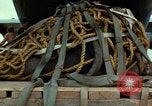 Image of Elephant airlifted Vietnam, 1968, second 41 stock footage video 65675067655